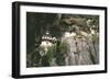 Tigers Nest Monastery, Bhutan-Vivienne Sharp-Framed Photographic Print