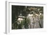 Tigers Nest Monastery, Bhutan-Vivienne Sharp-Framed Photographic Print