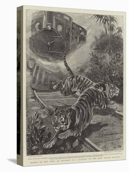 Tigers on the Line, an Incident in a Journey on the East Indian Railway-John Charlton-Stretched Canvas