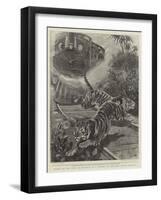 Tigers on the Line, an Incident in a Journey on the East Indian Railway-John Charlton-Framed Giclee Print