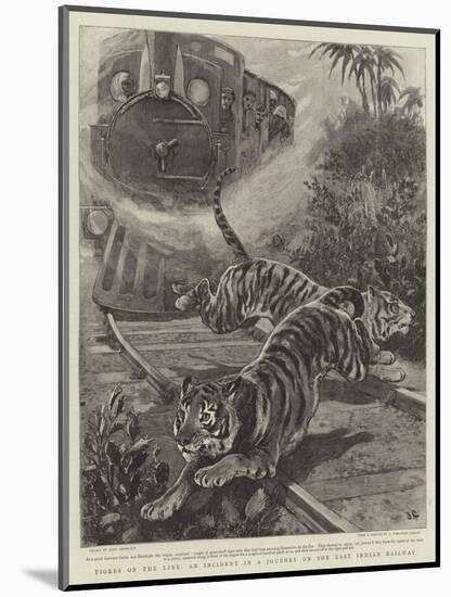 Tigers on the Line, an Incident in a Journey on the East Indian Railway-John Charlton-Mounted Giclee Print