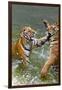 Tigers Play Fighting in Water, Indochinese Tiger, Thailand-Peter Adams-Framed Premium Photographic Print