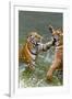 Tigers Play Fighting in Water, Indochinese Tiger, Thailand-Peter Adams-Framed Premium Photographic Print