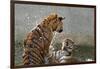 Tigers Playing in Water, Indochinese Tiger or Corbetts Tiger, Thailand-Peter Adams-Framed Photographic Print