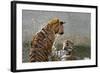 Tigers Playing in Water, Indochinese Tiger or Corbetts Tiger, Thailand-Peter Adams-Framed Photographic Print