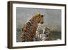 Tigers Playing in Water, Indochinese Tiger or Corbetts Tiger, Thailand-Peter Adams-Framed Photographic Print