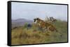 Tigers Stalking Their Prey-Wilhelm Kuhnert-Framed Stretched Canvas