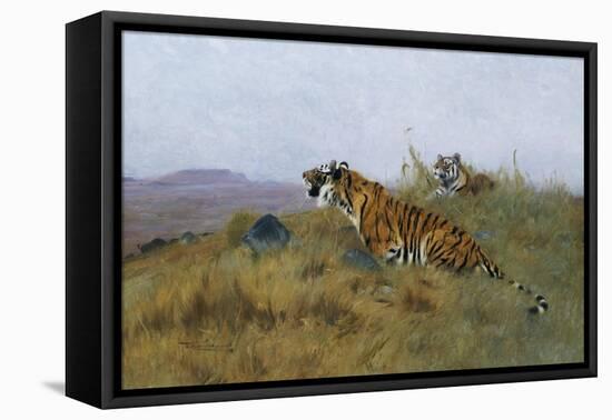 Tigers Stalking Their Prey-Wilhelm Kuhnert-Framed Stretched Canvas