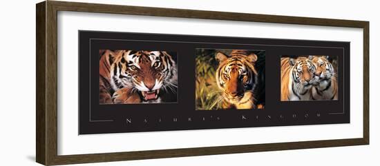 Tigers Tryp-Unknown Unknown-Framed Photo