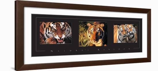 Tigers Tryp-Unknown Unknown-Framed Photo