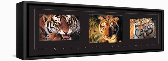 Tigers Tryp-Unknown Unknown-Framed Stretched Canvas