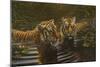 Tigers-Michael Jackson-Mounted Giclee Print