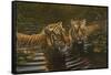 Tigers-Michael Jackson-Framed Stretched Canvas