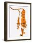 Tigers-null-Framed Giclee Print