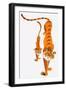 Tigers-null-Framed Giclee Print