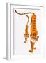 Tigers-null-Framed Giclee Print