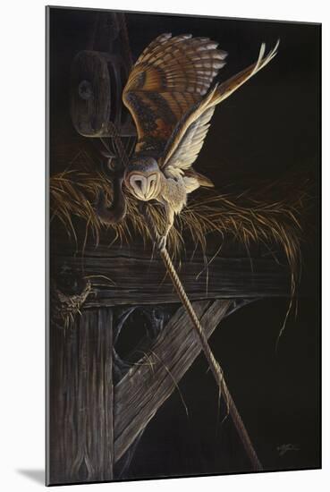 Tight Rope Barn Owl-Wilhelm Goebel-Mounted Giclee Print