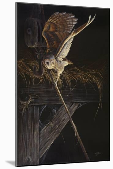 Tight Rope Barn Owl-Wilhelm Goebel-Mounted Giclee Print