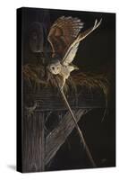 Tight Rope Barn Owl-Wilhelm Goebel-Stretched Canvas