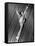 Tightrope Girl-null-Framed Stretched Canvas