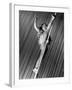 Tightrope Girl-null-Framed Photographic Print