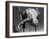 Tightrope Girl-null-Framed Photographic Print