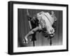 Tightrope Girl-null-Framed Photographic Print