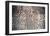 Tiglath Pileser Iii-null-Framed Giclee Print