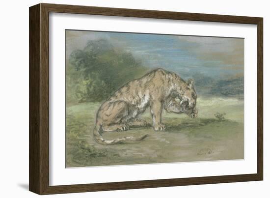 Tigre couché, tourné à droite, léchant une de ses pattes de devant-Eugene Delacroix-Framed Giclee Print