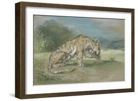 Tigre couché, tourné à droite, léchant une de ses pattes de devant-Eugene Delacroix-Framed Giclee Print