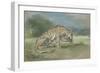 Tigre couché, tourné à droite, léchant une de ses pattes de devant-Eugene Delacroix-Framed Giclee Print