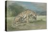 Tigre couché, tourné à droite, léchant une de ses pattes de devant-Eugene Delacroix-Stretched Canvas