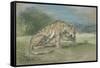 Tigre couché, tourné à droite, léchant une de ses pattes de devant-Eugene Delacroix-Framed Stretched Canvas