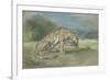 Tigre couché, tourné à droite, léchant une de ses pattes de devant-Eugene Delacroix-Framed Giclee Print