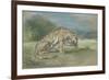 Tigre couché, tourné à droite, léchant une de ses pattes de devant-Eugene Delacroix-Framed Giclee Print