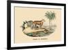 Tigre d'Afrique-E.f. Noel-Framed Premium Giclee Print