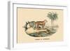 Tigre d'Afrique-E.f. Noel-Framed Art Print