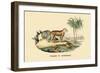 Tigre d'Afrique-E.f. Noel-Framed Premium Giclee Print