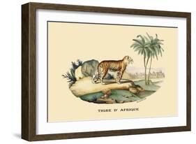 Tigre d'Afrique-E.f. Noel-Framed Art Print