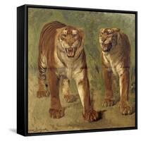 Tigre royal furieux-Rosa Bonheur-Framed Stretched Canvas