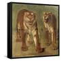 Tigre royal furieux-Rosa Bonheur-Framed Stretched Canvas