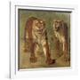 Tigre royal furieux-Rosa Bonheur-Framed Giclee Print