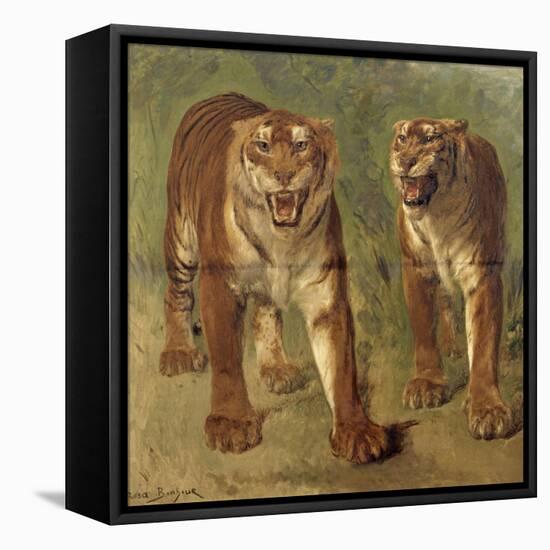 Tigre royal furieux-Rosa Bonheur-Framed Stretched Canvas