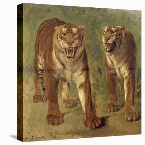 Tigre royal furieux-Rosa Bonheur-Stretched Canvas