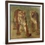 Tigre royal furieux-Rosa Bonheur-Framed Giclee Print