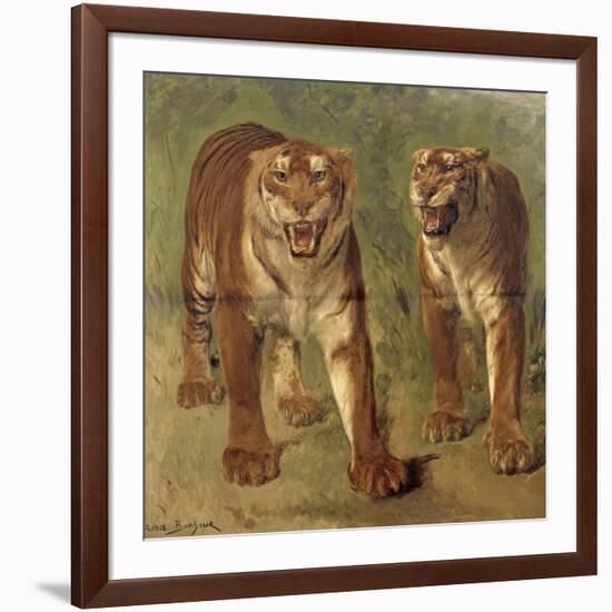 Tigre royal furieux-Rosa Bonheur-Framed Giclee Print