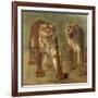 Tigre royal furieux-Rosa Bonheur-Framed Giclee Print