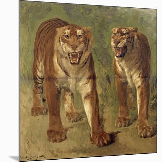 Tigre royal furieux-Rosa Bonheur-Mounted Giclee Print