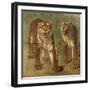 Tigre royal furieux-Rosa Bonheur-Framed Giclee Print