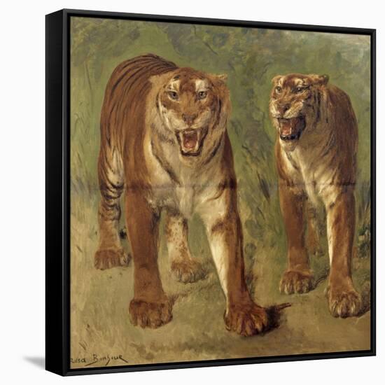 Tigre royal furieux-Rosa Bonheur-Framed Stretched Canvas